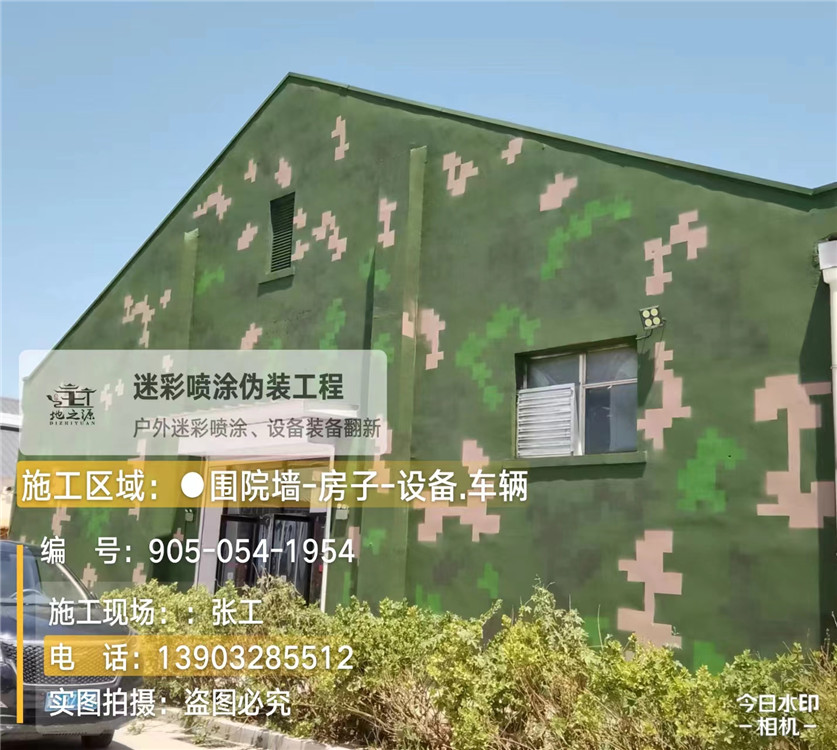 河源外墙数码迷彩漆施工报价清单（100㎡标准墙面测算）